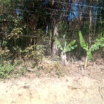 Terreno à venda em Serra da Cantareira, Mairiporã, SP