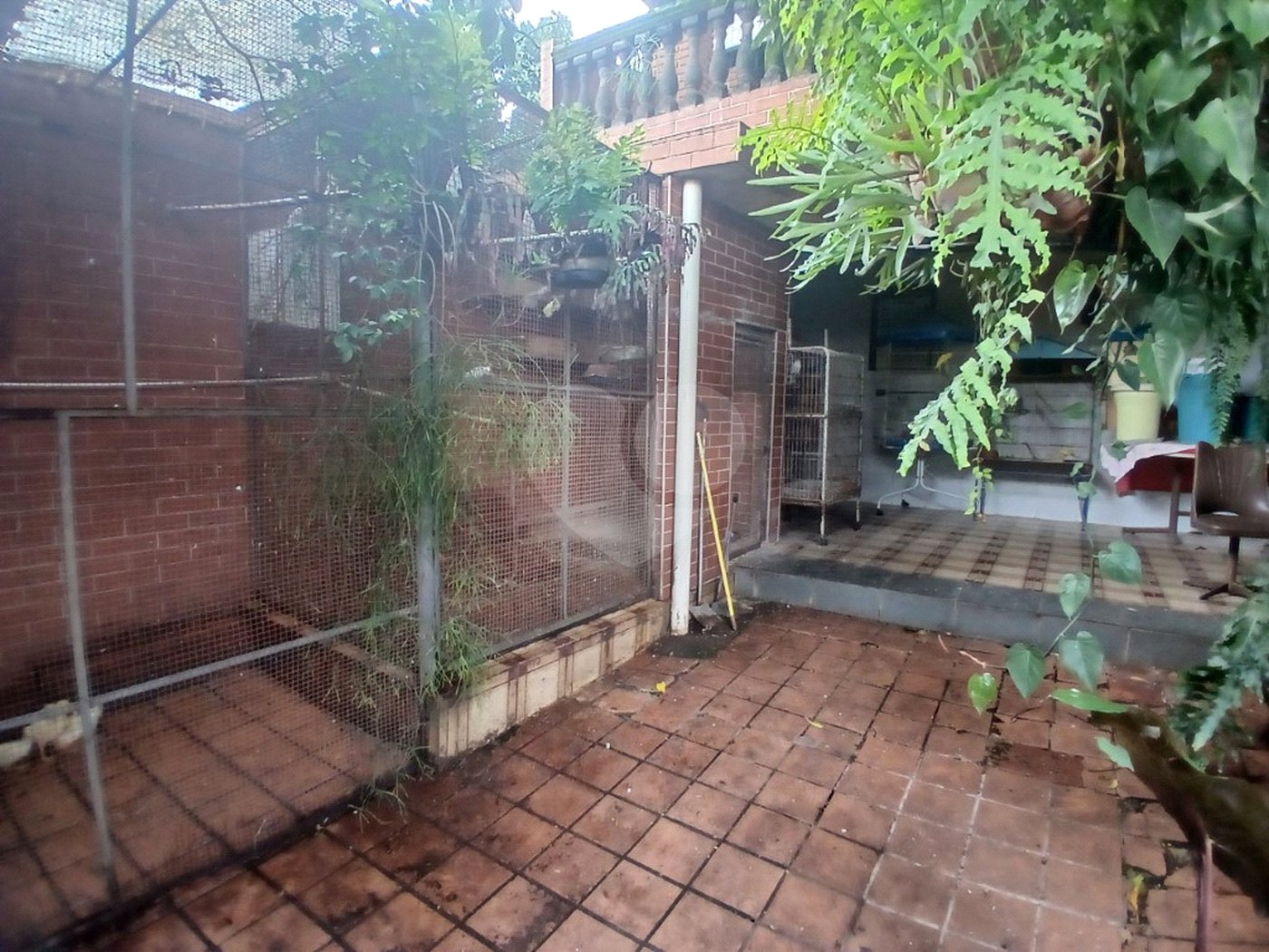 Casa Térrea à venda com 4 quartos, sendo 1 suíte,  em Vila Nova Mazzei, São Paulo, SP