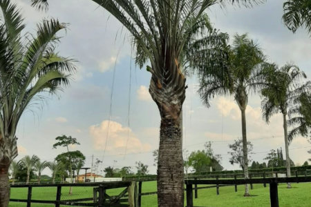 Rancho com 12 dormitórios à venda, 63000 m² por R$ 7.500.000,00 - Condomínio Haras Paineiras - Salto/SP