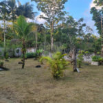 Chácara à venda com 4 quartos em Aguapeú, Itanhaém, SP
