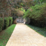 Apartamento à venda com 3 quartos em Vila Suzana, São Paulo, SP