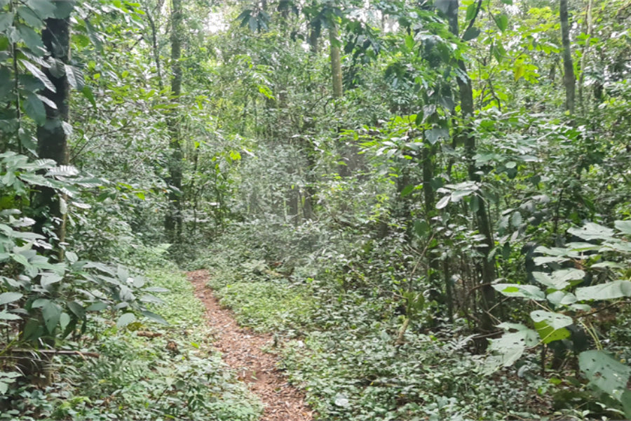 Terreno à venda em Caraguatá, Mairiporã, SP