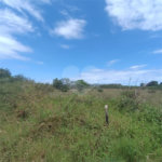 Terreno em condomínio à venda em Baia Formosa, Armação dos Búzios, RJ