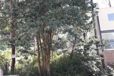Terreno à venda ou para alugar em Vila Andrade, São Paulo, SP