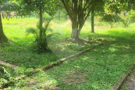 Sítio à venda com 2 quartos em Taiaçupeba, Mogi das Cruzes, SP