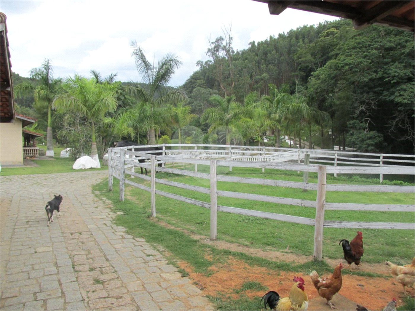Sítio à venda com 4 suítes no Centro, Salesópolis, SP