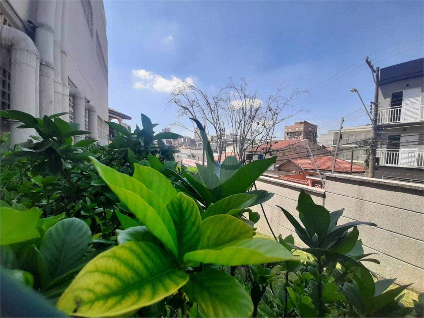 Apartamento à venda com 2 quartos em Vila Dom Pedro Ii, São Paulo, SP