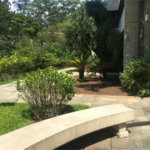 Apartamento à venda com 4 suítes em Vila Suzana, São Paulo, SP