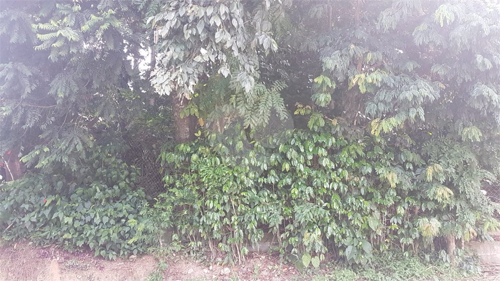 Terreno à venda em Serra da Cantareira, Mairiporã, SP