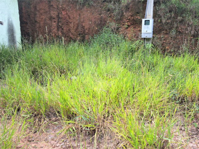 Terreno à venda em Terra Preta (terra Preta), Mairiporã, SP