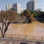 Sobrado à venda com 4 quartos, sendo 1 suíte, em Vila Rosália, Guarulhos, SP