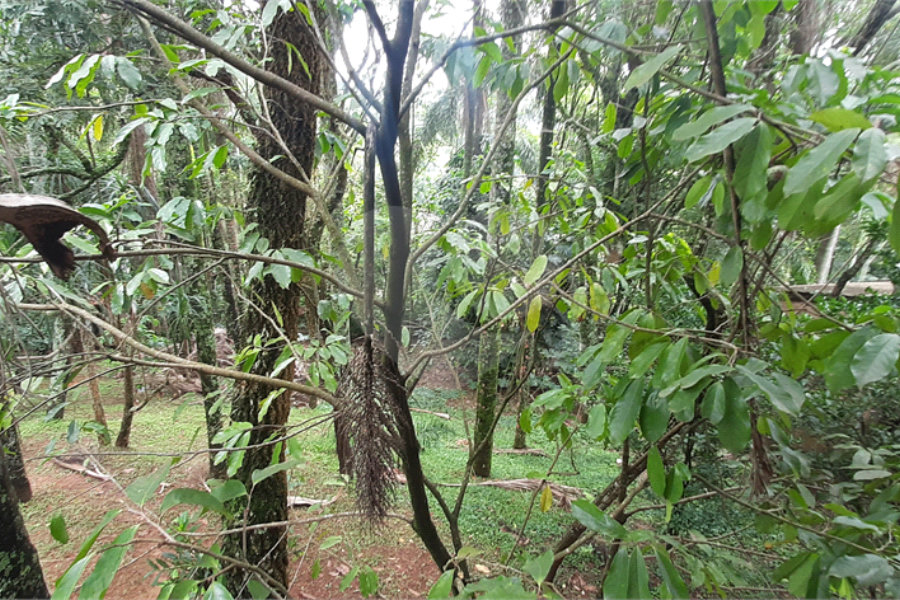 Casa à venda com 4 quartos, sendo 2 suítes, no condomínio Associação Reserva das Hortênsias, Mairiporã - SP