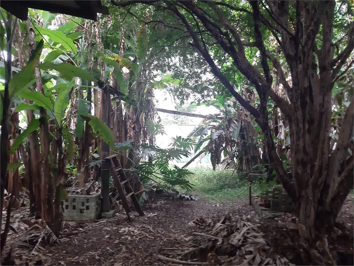 Terreno à venda em Vila Gustavo, São Paulo, SP