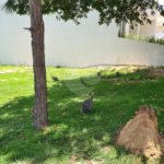 Terreno à venda no condomínio Renaissance, Sorocaba - SP