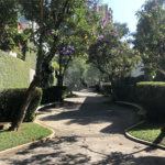 Casa em condomínio à venda com 3 quartos, sendo 2 suítes, em Jardim Ampliação, São Paulo, SP