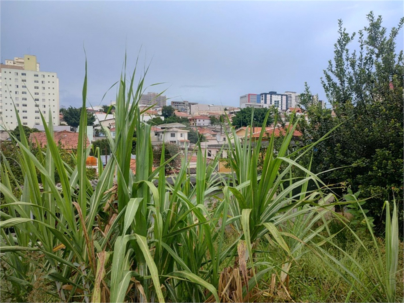 Terreno à venda em Tucuruvi, São Paulo, SP