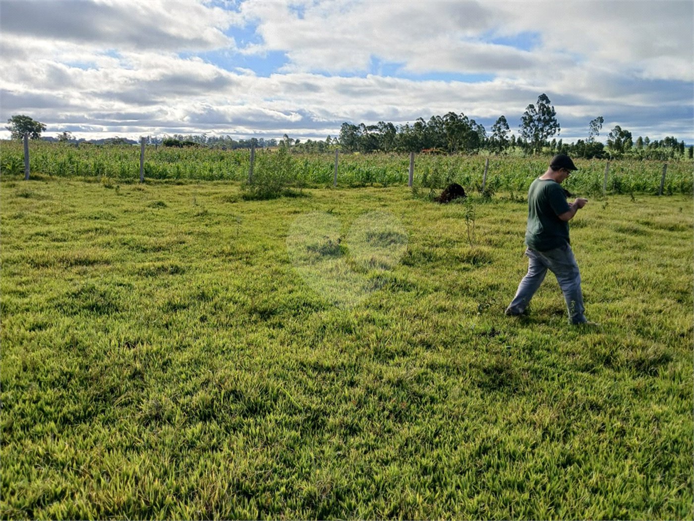 Terreno à venda em Área Rural de Guareí, Guareí, SP