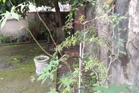 Casa com 2 dormitórios à venda, 87 m² por R$ 690.000,00 - Ponta da Praia - Santos/SP