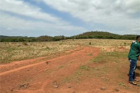 Fazenda à venda em Zona Rural, Balsas, MA