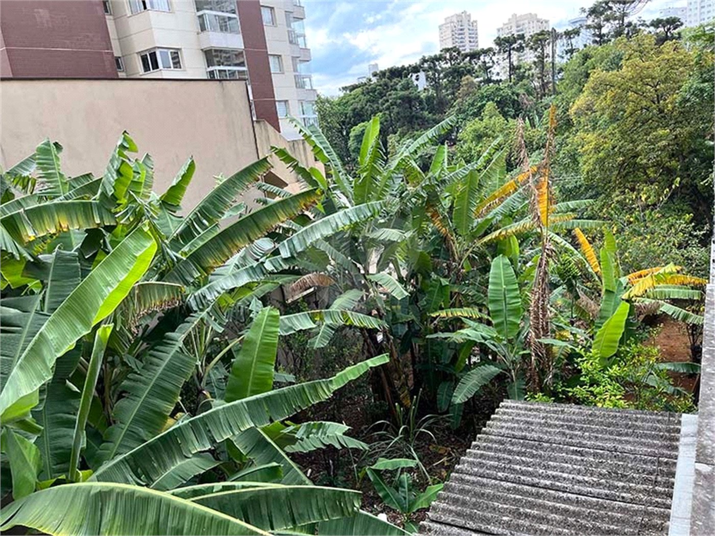 Terreno à venda em Santana, São Paulo, SP