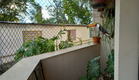 Apartamento à venda com 3 quartos, sendo 1 suíte,  em Mandaqui, São Paulo, SP