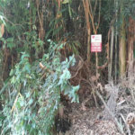 Terreno à venda em Serra da Cantareira, Mairiporã, SP