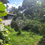 Chácara à venda com 3 quartos em Parque Alvorada, Suzano, SP