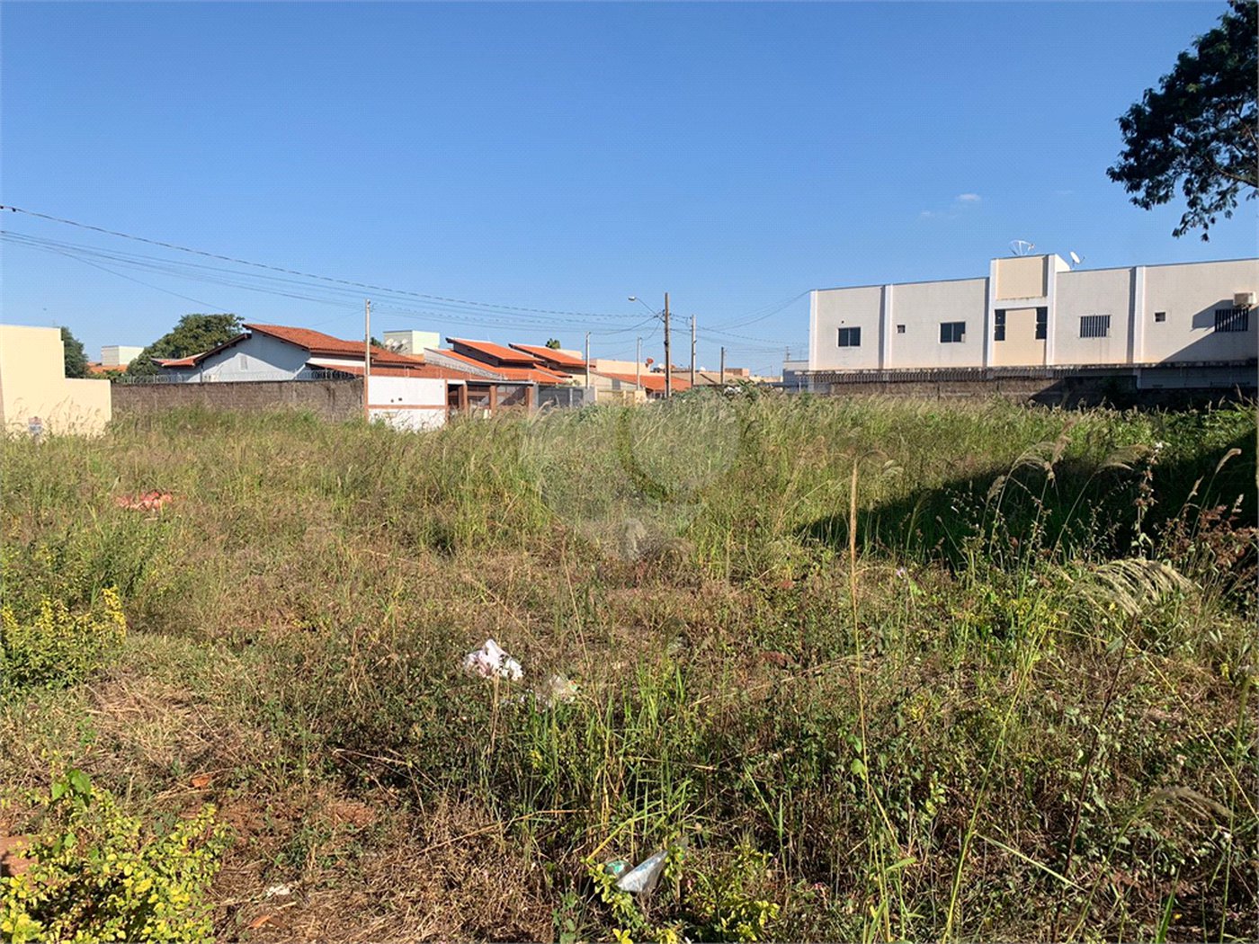 Terreno à venda em Setsul, Três Lagoas, MS