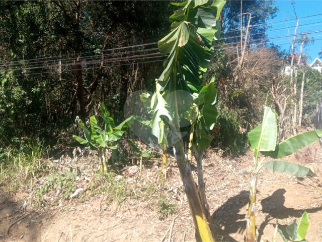 Terreno à venda em Serra da Cantareira, Mairiporã, SP