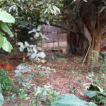 Casa à venda com 4 quartos, sendo 2 suítes, em Jardim São Bento, São Paulo, SP