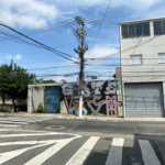 Terreno à venda em Vila Arapuã, São Paulo, SP