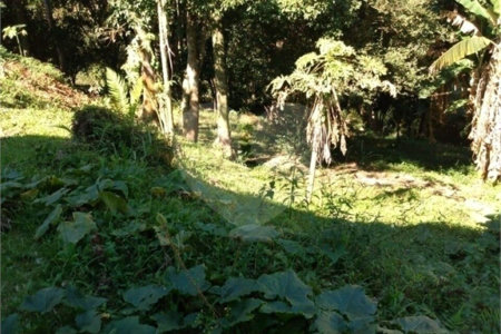 Chácara à venda com 8 quartos em Parque Piratininga, Itaquaquecetuba, SP