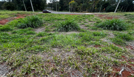 Terreno à venda no condomínio Residencial Quinta das Palmeiras, Itapetininga - SP