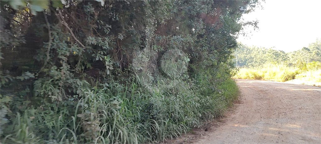 Terreno à venda em Luiz Fagundes, Mairiporã, SP