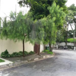 Terreno à venda em Jardim Leonor, São Paulo, SP