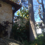 Casa à venda com 4 suítes em Vila Galvão, Guarulhos, SP