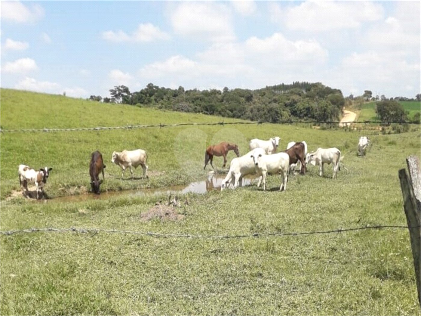 Área de Terra à venda em Área Rural de Monte Mor, Monte Mor, SP