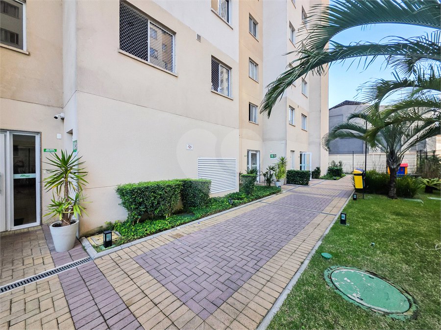 Apartamento à venda com 2 quartos em Cambuci, São Paulo, SP
