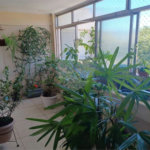 Apartamento à venda com 3 quartos em Maracanã, Rio de Janeiro, RJ