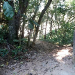 Terreno à venda em Tucuruvi, São Paulo, SP