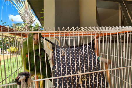 Casa à venda com 4 suítes no condomínio Vivenda do Lago, Sorocaba - SP