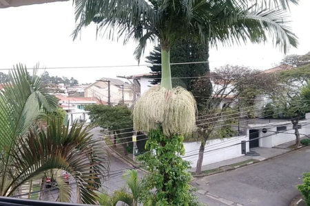 Sobrado à venda com 5 suítes em Jardim Franca, São Paulo, SP