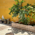 Sobrado à venda com 3 quartos em Vila Nova Cachoeirinha, São Paulo, SP