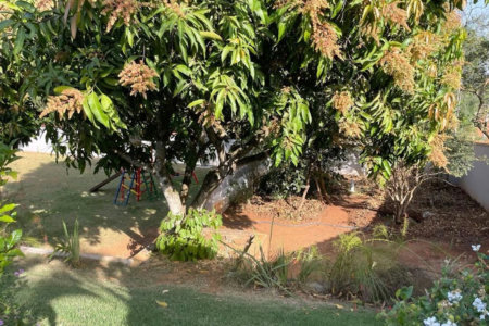 Sítio Residencial à venda, Nova Rheata, Boituva - SI0004.