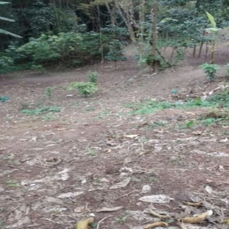 Terreno à venda em Jardim Ampliação, São Paulo, SP
