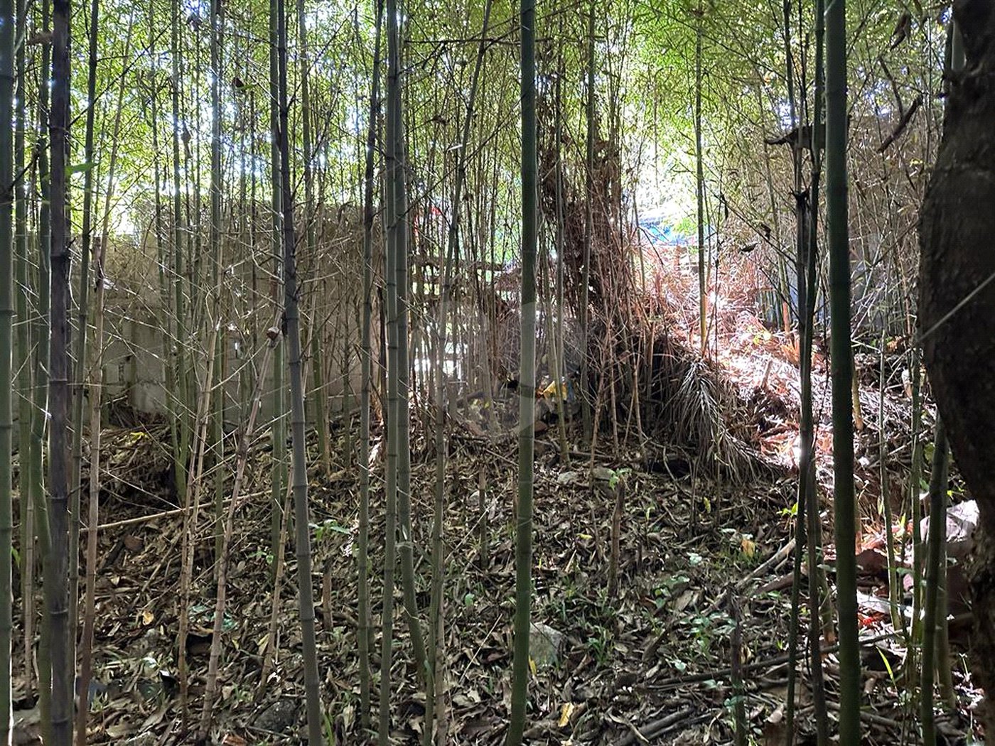 Terreno à venda em Serra da Cantareira, Mairiporã, SP