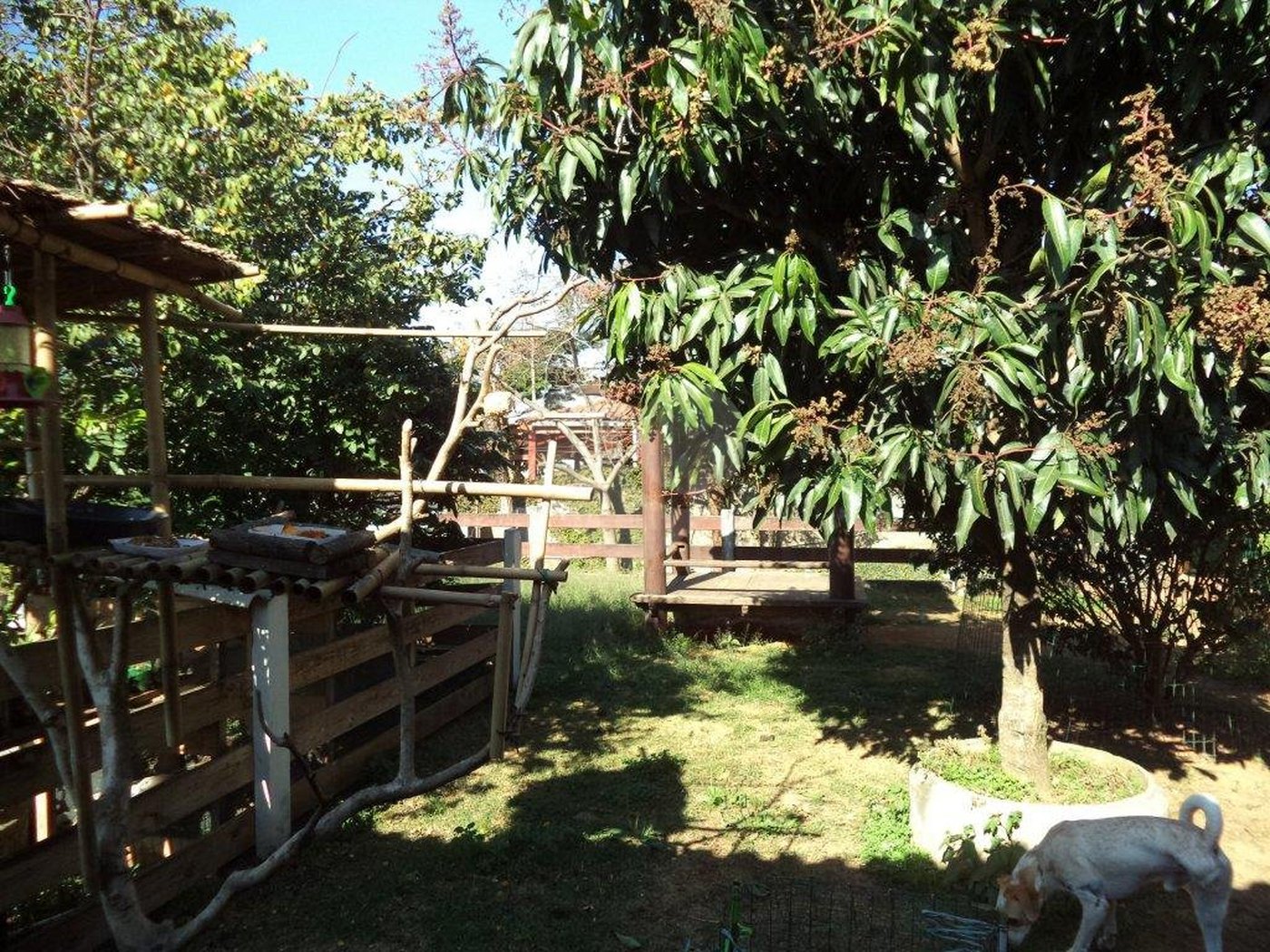 Chácara à venda com 5 quartos em Horto Florestal, São Paulo, SP
