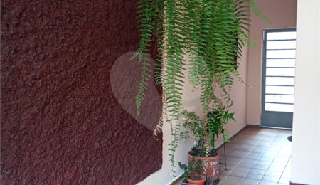 Sobrado à venda com 3 quartos em Casa Verde, São Paulo, SP