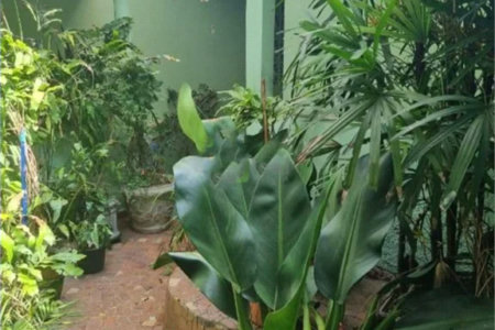 Casa de Vila à venda com 3 quartos em Jardim São Roque, São Paulo, SP