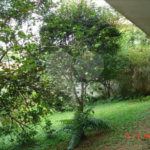 Casa Térrea à venda com 4 quartos, sendo 2 suítes, em Vila Tramontano, São Paulo, SP